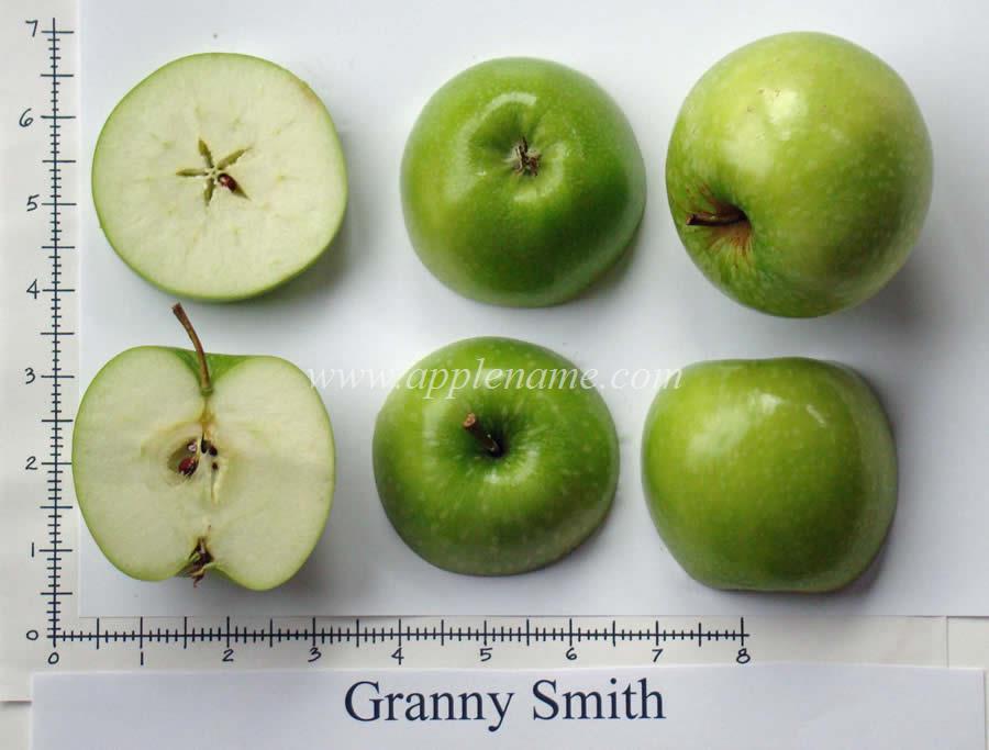 Granny Smith apple identification