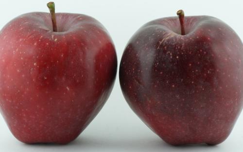 The Real Reason Red Delicious Apples Aren't Actually Delicious At All