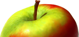 Apple - Honeycrisp - tasting notes, identification, reviews