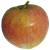 Photo of Allington Pippin apple