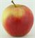 Photo of Arlet apple