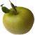 Photo of Aromatic Russet apple