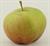 Photo of Baldwin apple