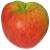 Photo of Blenheim Orange apple