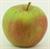 Photo of Braddick's Nonpareil apple