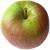Photo of Coeur de Boeuf apple