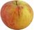 Photo of Cox's Orange Pippin apple