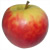 Photo of Elstar apple