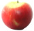 Photo of Jester apple