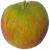 Photo of Margil apple