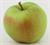Photo of Roxbury Russet apple