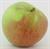 Photo of Winesap apple