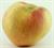 Photo of Wolf River apple
