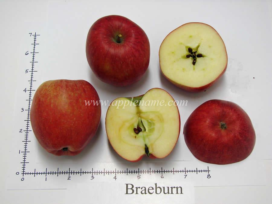 Braeburn apple identification