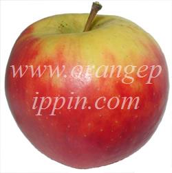 Apple Elstar Tasting Notes Identification Reviews