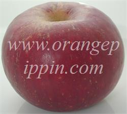 Apple Ingrid Marie Tasting Notes Identification Reviews