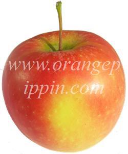 Apple Kanzi Tasting Notes Identification Reviews