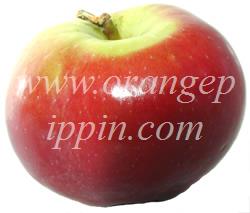 Apple Spartan Tasting Notes Identification Reviews